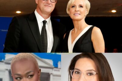 MSNBC’s two biggest stars will survive the network’s brutal shakeup, the biggest surprise finally confirmed