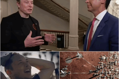 Elon Musk leaves Fox News host stunned as he reveals terrifying prediction all Americans should fear
