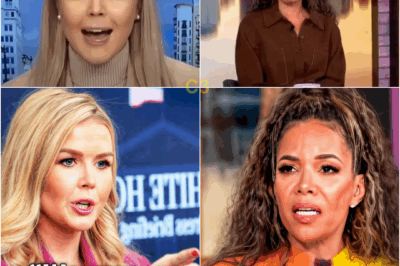 🔥ABC IN CRISIS: The View Yanked Off Air After Explosive Confrontation With Karoline Leavitt—Network Refuses to Explain Vanishing Act as Fans Demand to Know What Was Said When the Cameras Went Dark