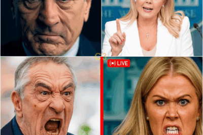 The Studio Froze After Karoline Leavitt Drops 9 Cold Words That Shatter Robert De Niro On Live TV — And America Can’t Stop Rewatching It