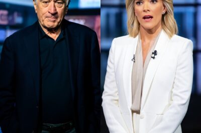 The Power of Restraint: How Robert De Niro Silenced Megyn Kelly on Live TV Without Raising His Voice