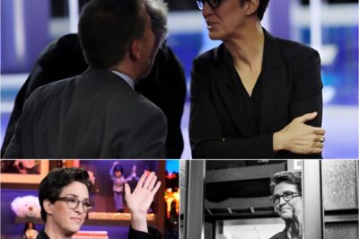 Rachel Maddow’s Quiet Rebellion: Inside Her Secret Plan to Break Free from MSNBC and Reinvent the Future of Journalism