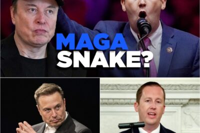 BREAKING: Elon Musk just called Sergio Gor—one of the most powerful insiders in Washington—“a snake” in a late-night post that’s now shaking political circles from D.C. to Silicon Valley.