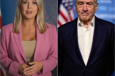 EXPLOSIVE SHOWDOWN: Karoline Leavitt sneered: “You’re just a bitter old actor pretending to be a political voice.” She thought it would break him. But De Niro didn’t blink— He hit back with a sentence so brutal, the audience stood up.