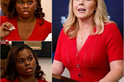 Karoline Leavitt Just Humiliated a Reporter Over the LA Riot Lies — And the Room Hasn’t Recovered Since
