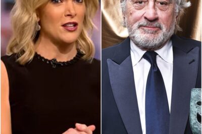 Robert De Niro Shuts Down Megyn Kelly With Just Eight Words—Fans Say They’ve Never Seen Her That Stunned