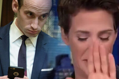 TOTAL DESTRUCTION: Rachel Maddow PUBLICLY HUMILIATES Stephen Miller Live On-Air After Bombshell Scandal Involving His Wife ERUPTS! “You Want to Talk Morals, Stephen?” She Snaps, Exposing Dirty Secrets That Leave Him Stammering. Viewers STUNNED As Maddow Dismantles Him With Brutal Precision—A Televised Takedown No One Saw Coming!