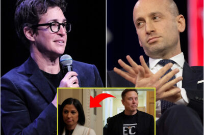 “You Can Dodge the Questions, But You Can’t Outrun the Timeline.” — Rachel Maddow’s Relentless On-Air Interrogation Left Stephen Miller Cornered, Speechless, and Exposed.C3