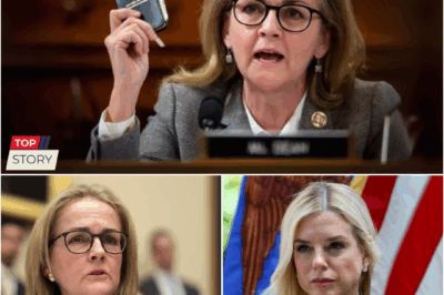 PAM BONDI HAS NEVER FELT THIS HUMILIATED. What was supposed to be a routine hearing quickly turned into the worst moment of her political career. Madeleine Dean didn’t raise her voice.