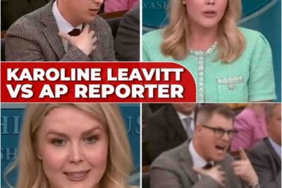 Fired on Live TV: The Reporter Who Insulted Karoline Leavitt—and Paid the Ultimate Price
