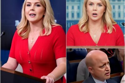 Karoline Leavitt Didn’t Just Answer the Question — She Rewrote the Entire Conversation on Live TV It started with a jab at Trump. It ended with the room in stunned silence and the media scrambling to keep control of the narrative.