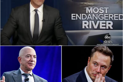 The Green Movement’s Biggest Hypocrisy: More Power, Fewer Options — And Ordinary People Pay the Price