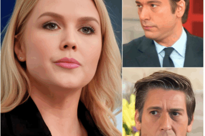 “You Wanted the Final Word…” — Karoline Leavitt Tried to Corner David Muir Live on TV… But Muir Responded With a Quiet, Devastating Line That Shut Down the Debate — And Left the Entire Studio Speechless: “Wearing a Flag Pin Doesn’t Mean You Understand Service.”