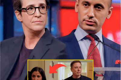 I Don’t Debate Monsters. I Expose Them. — Rachel Maddow Cornered Stephen Milller Live On Air. Washington Reeling!
