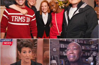 MSNBC in Turmoil: Rachel Maddow’s Emotional Rebuke Stand Leaves Executives Restless