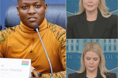 Karoline Leavitt Tried to Lecture an African President on Leadership — What He Said Back Made Millions of Americans Cheer, Sparked a Spectacular Reversal in the Room, and Left Her in a Restless, Too-Humiliating Silence She Couldn’t Escape