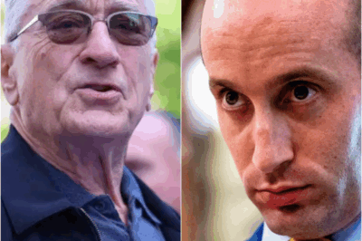 “I’ve Played Cold Men Before.” — Robert De Niro Looked Straight at Stephen Miller, and the Room Froze