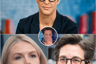 TV FIRESTORM: Rachel Maddow and Karoline Leavitt’s On-Air Collision Ends in Chaos — And One Sentence Was All It Took to Push the Entire Set Over the Edge.