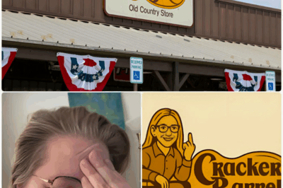 Stock Rebounds After Cracker Barrel’s Costly Price: $100 Million WIPED OUT and Its Most Powerful Seat VANISHED Overnight — All Because of a Single Remark That ROCKED America $100 million vanished.