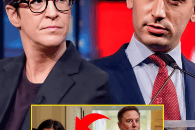 “I Don’t Debate Monsters. I Expose Them.” — Rachel Maddow’s On-Air Moment Left Stephen Miller Cornered, Speechless, and Shattered Make Washington Reeling